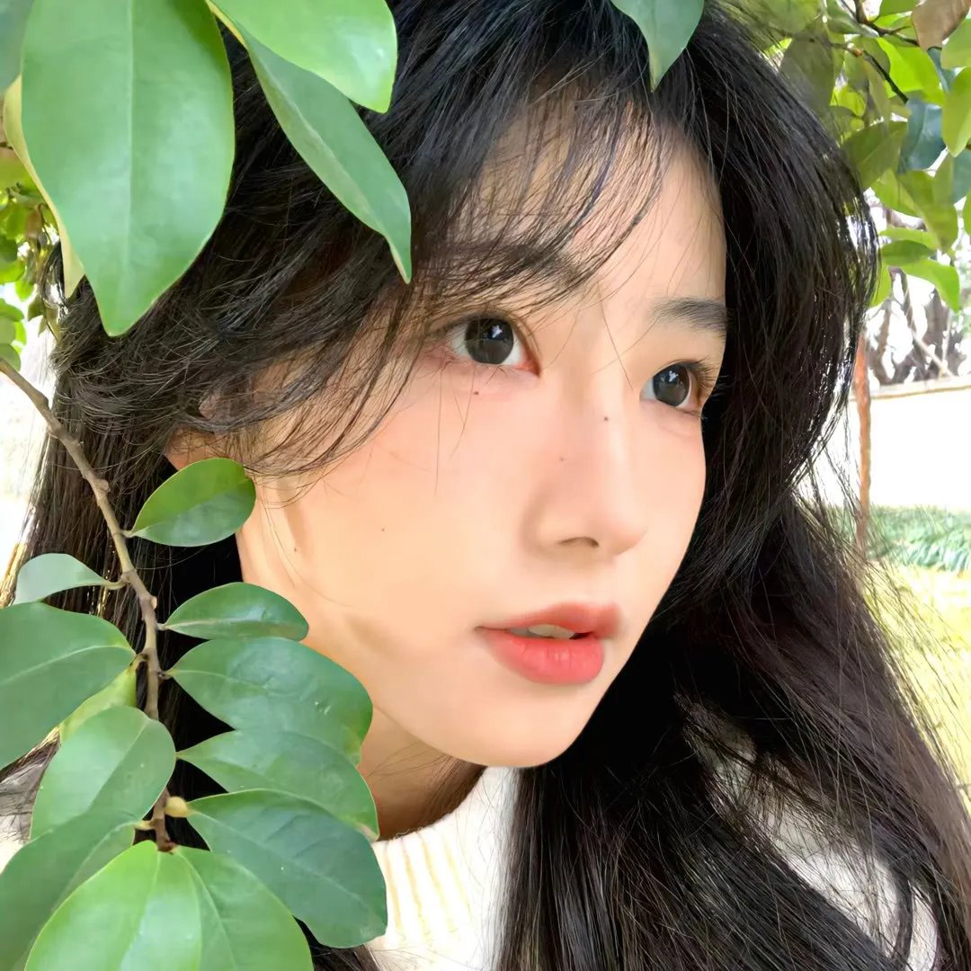 完全疯了